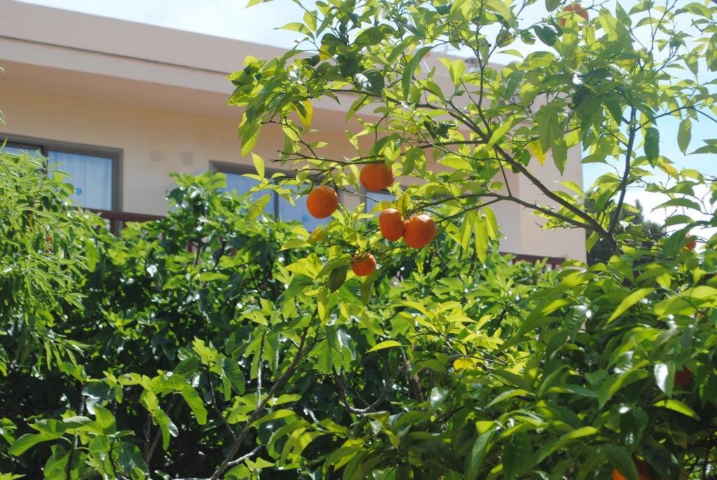Flacalco & Hotel 4*