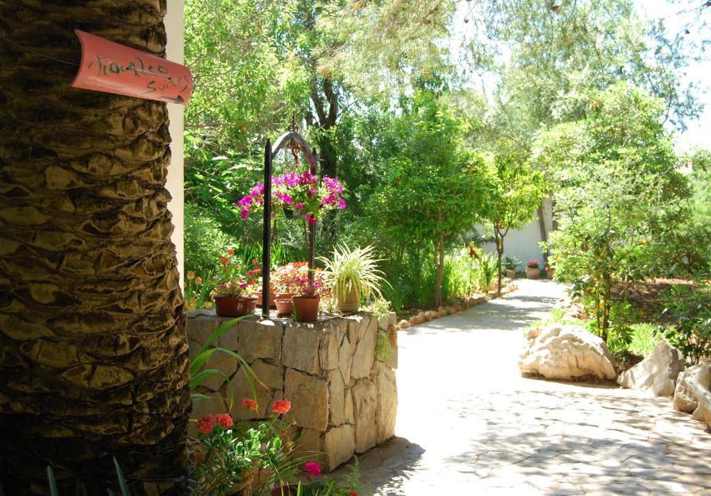 Hotel Flacalco & 4*